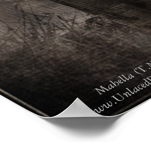 Quoth the Raven Poster (Hoek)