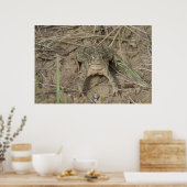 R10 Prairie Paddestoel Poster (Keuken)