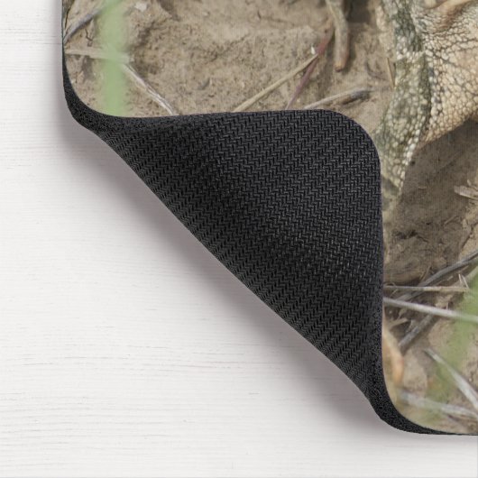 R10 Prairie Toad Muismat (Hoek)