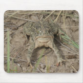 R10 Prairie Toad Muismat (Voorkant)