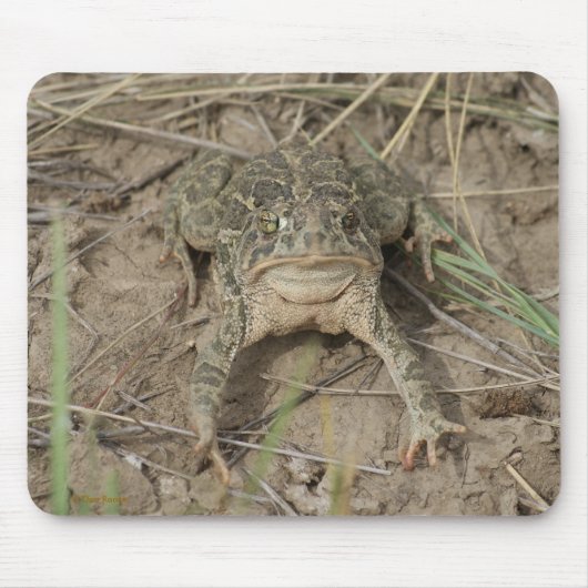 R10 Prairie Toad Muismat (Voorkant)