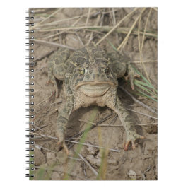R10 Prairie Toad Notitieboek