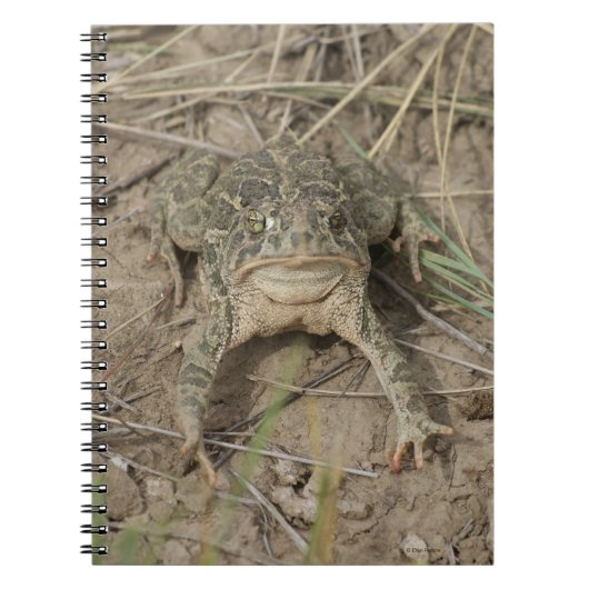 R10 Prairie Toad Notitieboek (Voorkant)