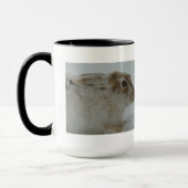 R11 Snowshoe Hare Head Shot Mok (Links)