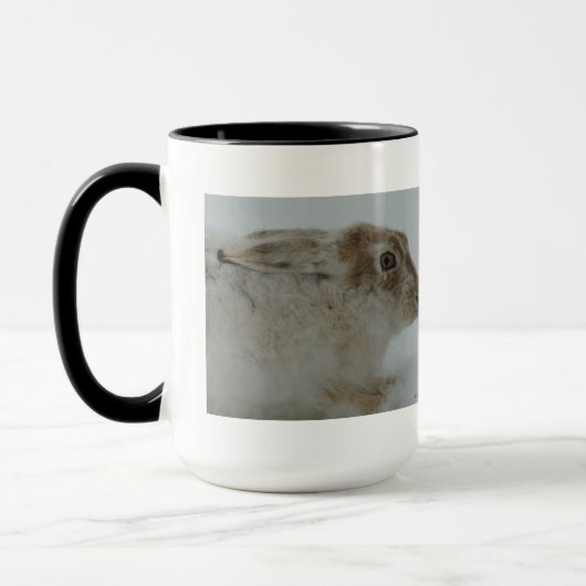 R11 Snowshoe Hare Head Shot Mok (Links)