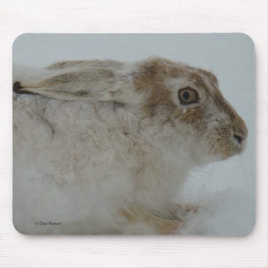 R11 Snowshoe Hare Head Shot Muismat (Voorkant)