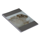 R11 Snowshoe Hare Head Shot Notitieboek (Rechterzijde)