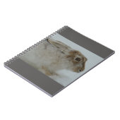 R11 Snowshoe Hare Head Shot Notitieboek (Linkerzijde)