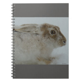 R11 Snowshoe Hare Head Shot Notitieboek