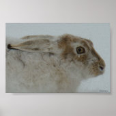 R11 Snowshoe Hare Head Shot Poster (Voorkant)
