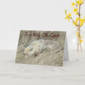 R13 Coyote in hoog gras Kaart (Gele Bloem)