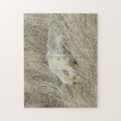 R13 Coyote in hoog gras Legpuzzel (Verticaal)