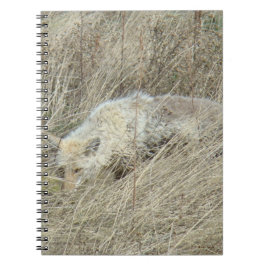 R13 Coyote in hoog gras Notitieboek