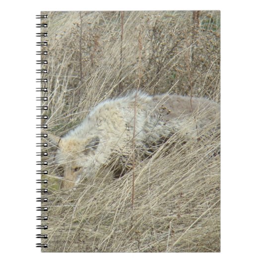 R13 Coyote in hoog gras Notitieboek (Voorkant)