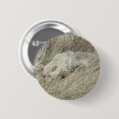 R13 Coyote in hoog gras Ronde Button 5,7 Cm (Voorkant /achterkant)