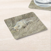 R13 Coyote in Tall Grass Kartonnen Onderzetters (Schuin)