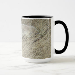 R13 Coyote in Tall Grass Mok