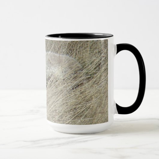 R13 Coyote in Tall Grass Mok (Rechts)