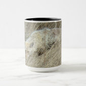 R13 Coyote in Tall Grass Mok (Midden)