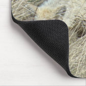 R13 Coyote in Tall Grass Muismat (Hoek)