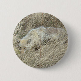 R13 Coyote in Tall Grass Ronde Button 5,7 Cm
