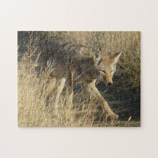 R14 Coyote Loopt Legpuzzel (Horizontaal)