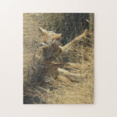 R14 Coyote Loopt Legpuzzel (Verticaal)
