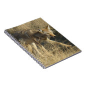 R14 Coyote Loopt Notitieboek (Rechterzijde)