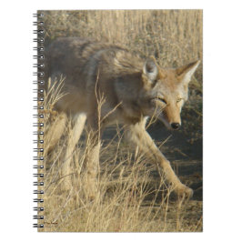 R14 Coyote Loopt Notitieboek