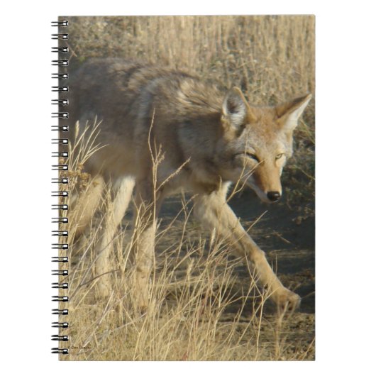R14 Coyote Loopt Notitieboek (Voorkant)