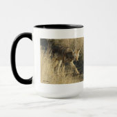 R14 Coyote Walking Mok (Links)