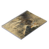 R14 Coyote Walking Notitieboek (Linkerzijde)
