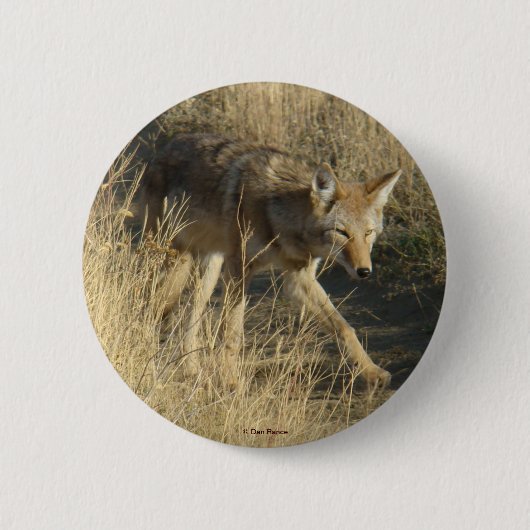 R14 Coyote Walking Ronde Button 5,7 Cm (Voorkant)