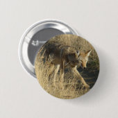 R14 Coyote Walking Ronde Button 5,7 Cm (Voorkant /achterkant)