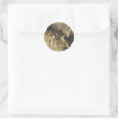 R14 Coyote Walking Ronde Sticker (Tas)