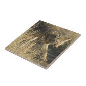 R14 Coyote Walking Tegeltje (Zijkant)