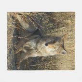 R15 Coyote Laying Fleece Deken (Voorkant (Horizontaal))