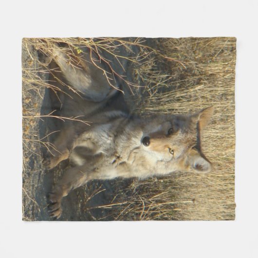 R15 Coyote Laying Fleece Deken (Voorkant (Horizontaal))