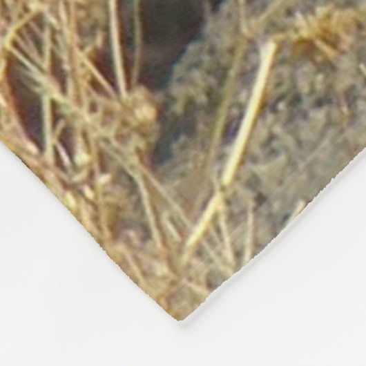 R15 Coyote Laying Fleece Deken (Hoek)