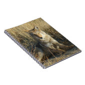R15 Coyote Laying Notitieboek (Rechterzijde)