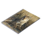 R15 Coyote Laying Notitieboek (Linkerzijde)