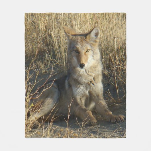 R15 Coyote Liggend Fleece Deken (Voorkant)