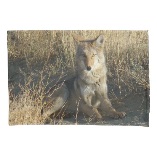 R15 Coyote Liggend Kussensloop (Voorkant)
