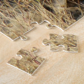 R15 Coyote Liggend Legpuzzel (Zijkant)