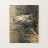R15 Coyote Liggend Legpuzzel (Verticaal)