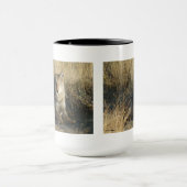 R15 Coyote Liggend Mok (Midden)