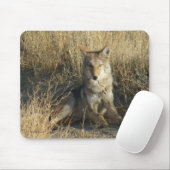 R15 Coyote Liggend Muismat (Met muis)