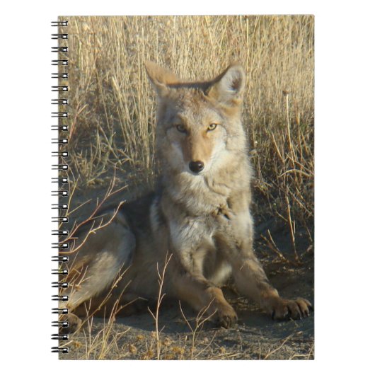 R15 Coyote Liggend Notitieboek (Voorkant)