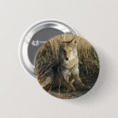 R15 Coyote Liggend Ronde Button 5,7 Cm (Voorkant /achterkant)