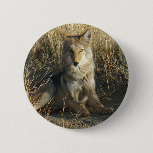 R15 Coyote Liggend Ronde Button 5,7 Cm